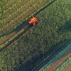 Agricultural harvesting at the last light of day, aerial view.