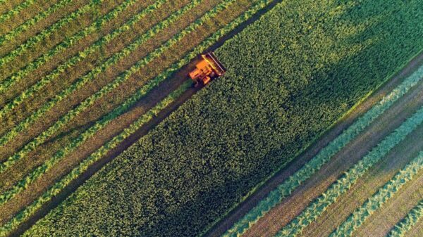 Agricultural harvesting at the last light of day, aerial view.